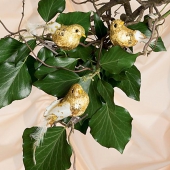 Птички декоративные на клипсах (6 шт.)